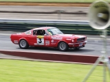 Mustang Fastback at Sandown